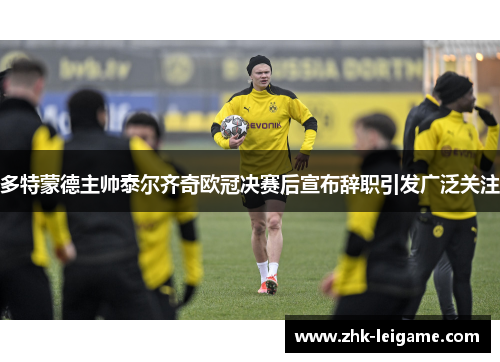 多特蒙德主帅泰尔齐奇欧冠决赛后宣布辞职引发广泛关注